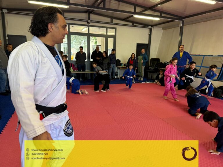 seminario tecnico mma bjj messina - 1