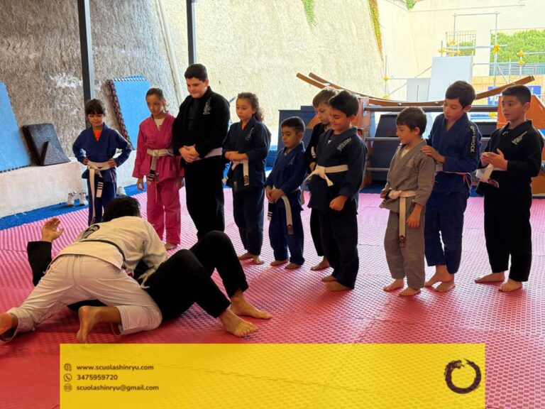 seminario tecnico mma bjj messina - 13