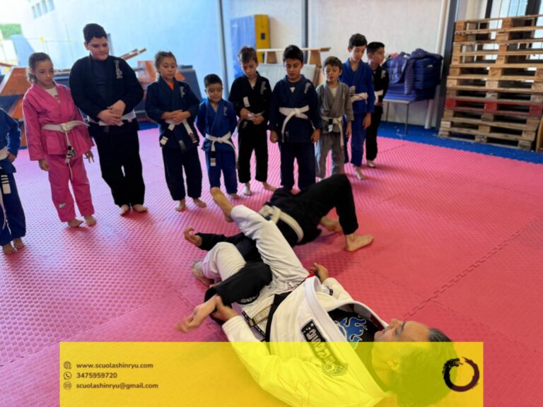 seminario tecnico mma bjj messina - 15