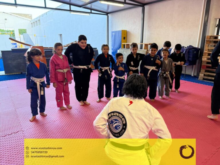 seminario tecnico mma bjj messina - 17