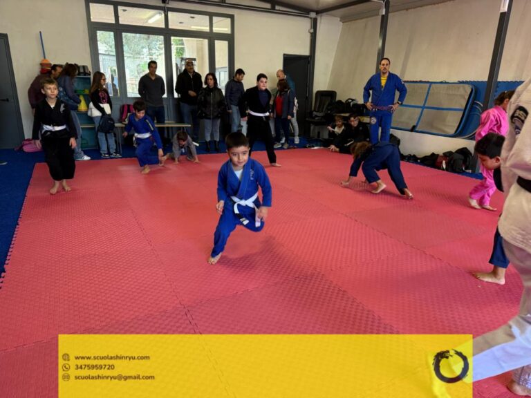 seminario tecnico mma bjj messina - 2