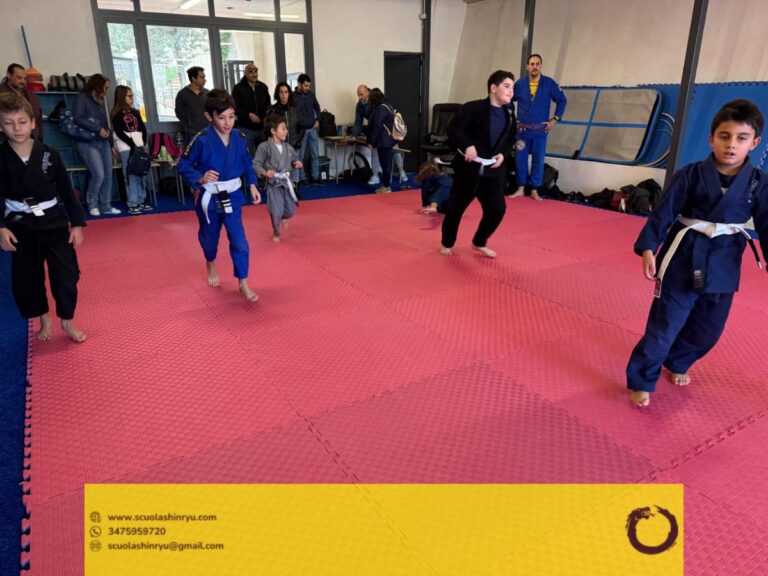 seminario tecnico mma bjj messina - 3