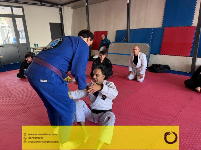 seminario tecnico mma bjj messina - 30