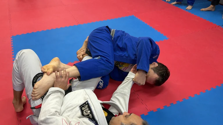 Stage di Brazilian Jiu Jitsu alla Shin Ryu